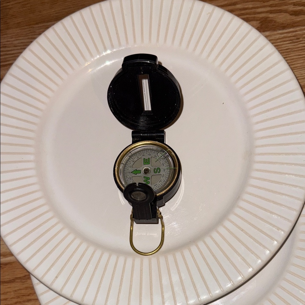 Black and gold compass